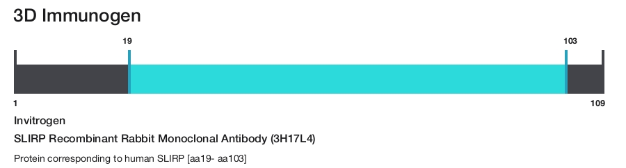 SLIRP Recombinant Rabbit Monoclonal Antibody (3H17L4)