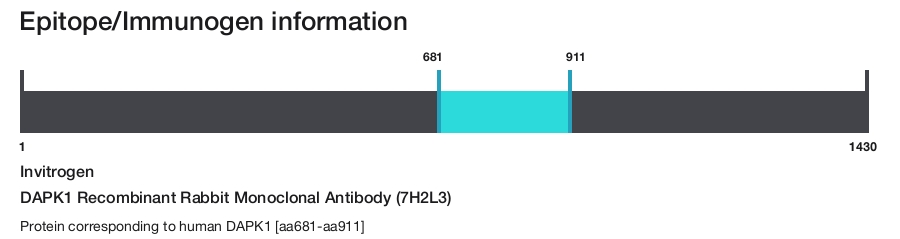DAPK1 Recombinant Rabbit Monoclonal Antibody (7H2L3)