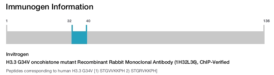 H3.3 G34V oncohistone mutant Recombinant Rabbit Monoclonal Antibody (1H32L36), ChIP-Verified