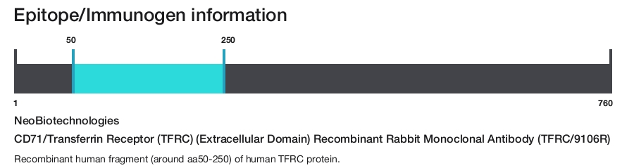 CD71/Transferrin Receptor (TFRC) (Extracellular Domain) Recombinant Rabbit Monoclonal Antibody (TFRC/9106R)