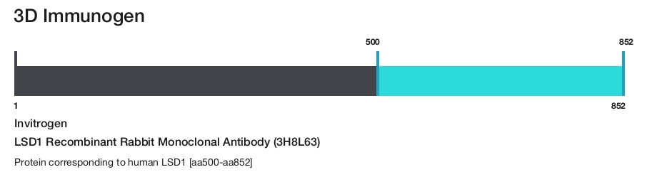 LSD1 Recombinant Rabbit Monoclonal Antibody (3H8L63)