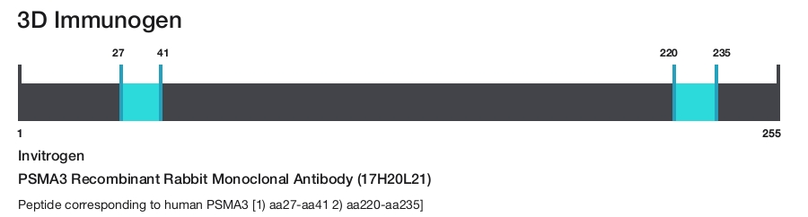 PSMA3 Recombinant Rabbit Monoclonal Antibody (17H20L21)