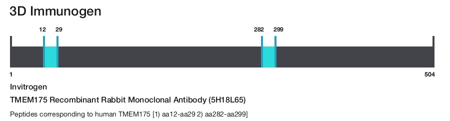 TMEM175 Recombinant Rabbit Monoclonal Antibody (5H18L65)