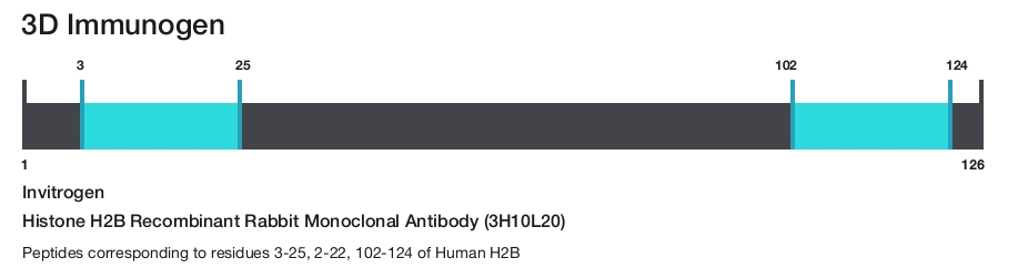 Histone H2B Recombinant Rabbit Monoclonal Antibody (3H10L20)