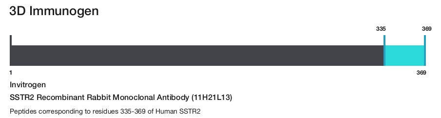 SSTR2 Recombinant Rabbit Monoclonal Antibody (11H21L13)