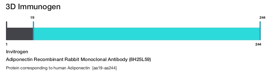 Adiponectin Recombinant Rabbit Monoclonal Antibody (8H25L59)