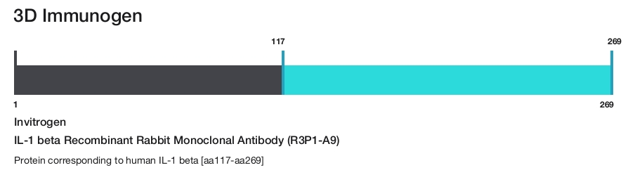 IL-1 beta Recombinant Rabbit Monoclonal Antibody (R3P1-A9)