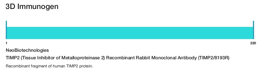 TIMP2 (Tissue Inhibitor of Metalloproteinase 2) Recombinant Rabbit Monoclonal Antibody (TIMP2/8193R)