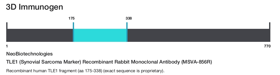 TLE1 (Synovial Sarcoma Marker) Recombinant Rabbit Monoclonal Antibody (MSVA-856R)
