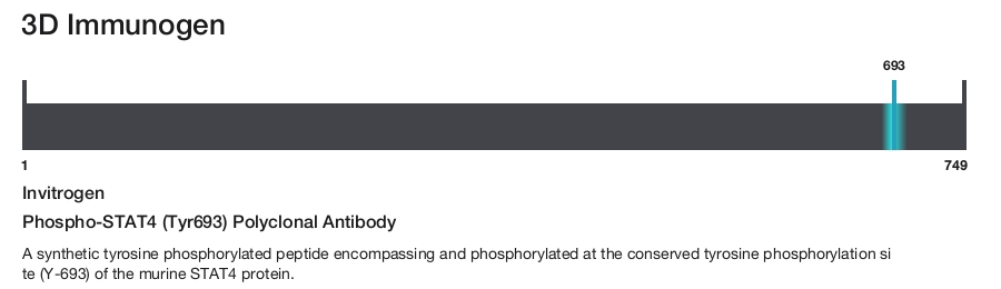 Phospho-STAT4 (Tyr693) Polyclonal Antibody