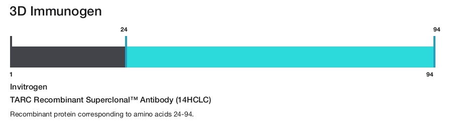 TARC Recombinant Superclonal&trade; Antibody (14HCLC)