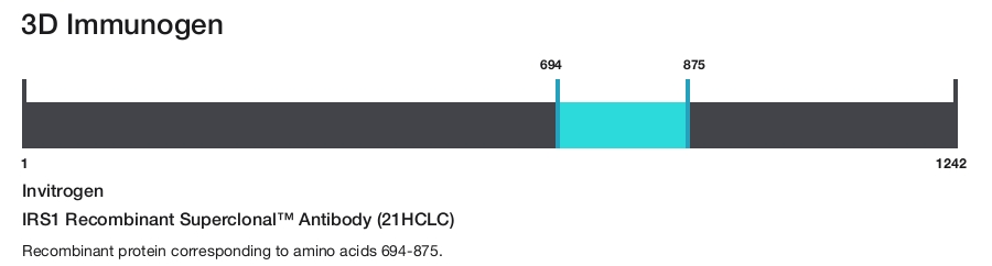 IRS1 Recombinant Superclonal&trade; Antibody (21HCLC)