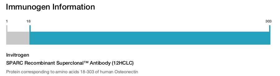 SPARC Recombinant Superclonal&trade; Antibody (12HCLC)
