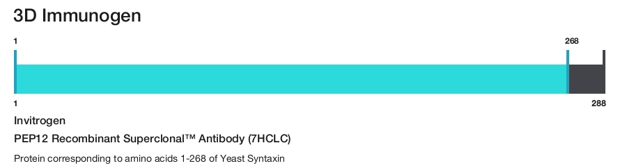 PEP12 Recombinant Superclonal&trade; Antibody (7HCLC)