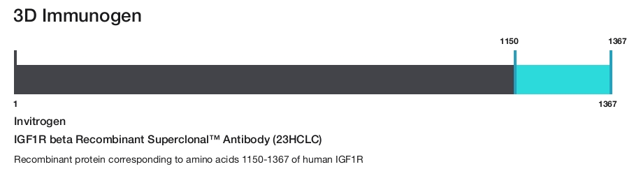 IGF1R beta Recombinant Superclonal&trade; Antibody (23HCLC)