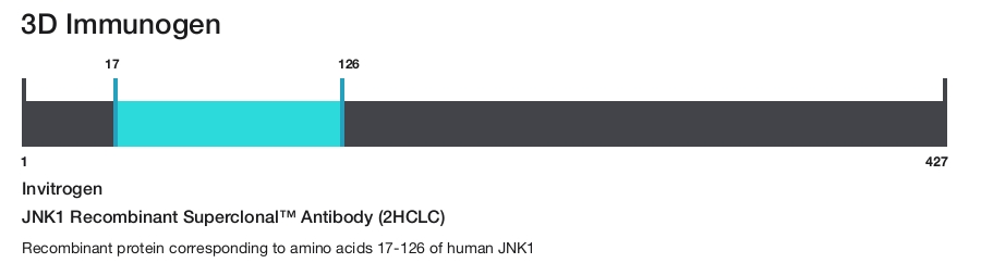 JNK1 Recombinant Superclonal&trade; Antibody (2HCLC)