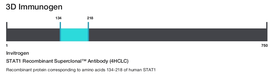 STAT1 Recombinant Superclonal&trade; Antibody (4HCLC)