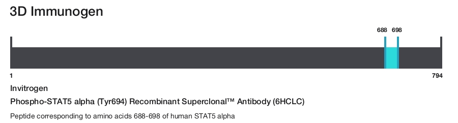 Phospho-STAT5 alpha (Tyr694) Recombinant Superclonal&trade; Antibody (6HCLC)