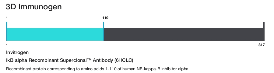IkB alpha Recombinant Superclonal&trade; Antibody (6HCLC)