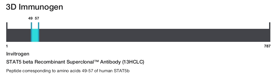 STAT5 beta Recombinant Superclonal&trade; Antibody (13HCLC)