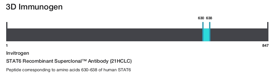 STAT6 Recombinant Superclonal&trade; Antibody (21HCLC)