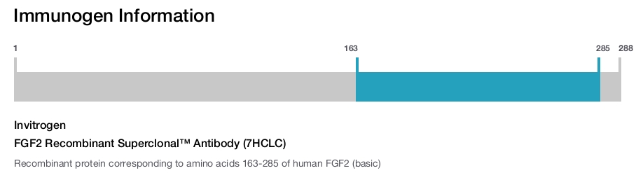 FGF2 Recombinant Superclonal&trade; Antibody (7HCLC)
