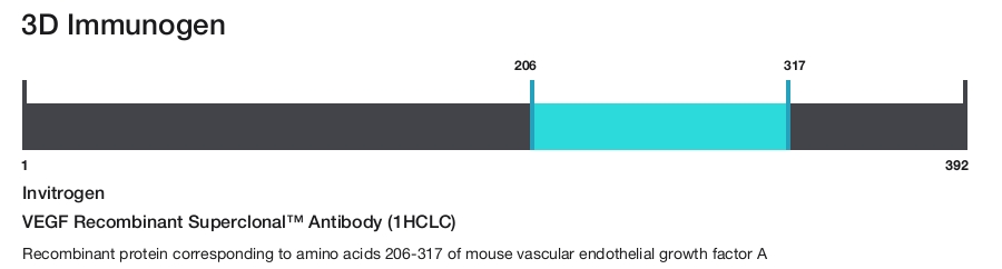 VEGF Recombinant Superclonal&trade; Antibody (1HCLC)