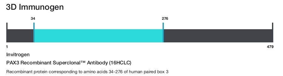 PAX3 Recombinant Superclonal&trade; Antibody (16HCLC)
