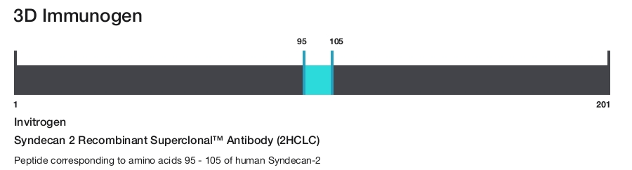 Syndecan 2 Recombinant Superclonal&trade; Antibody (2HCLC)
