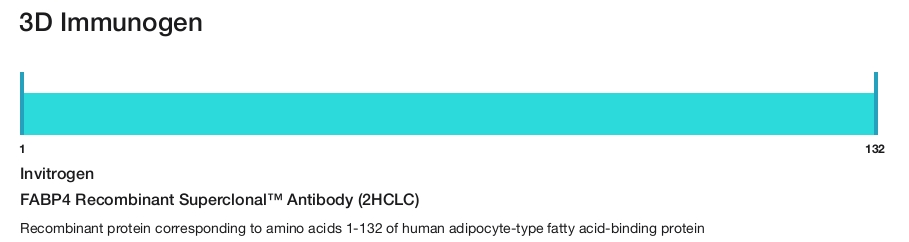 FABP4 Recombinant Superclonal&trade; Antibody (2HCLC)