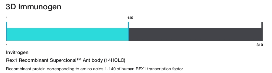 Rex1 Recombinant Superclonal&trade; Antibody (14HCLC)