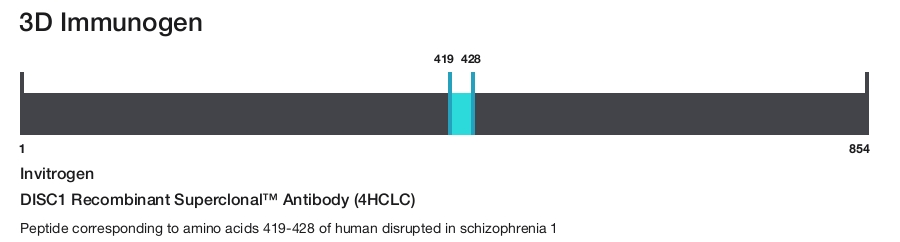 DISC1 Recombinant Superclonal&trade; Antibody (4HCLC)