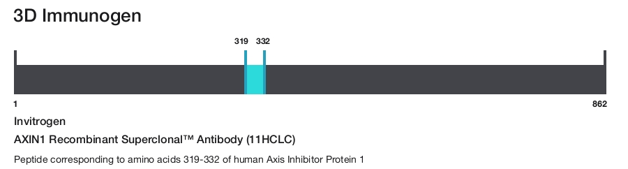 AXIN1 Recombinant Superclonal&trade; Antibody (11HCLC)