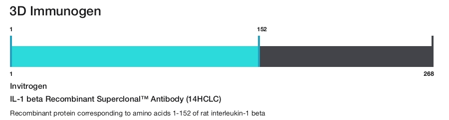 IL-1 beta Recombinant Superclonal&trade; Antibody (14HCLC)