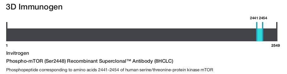 Phospho-mTOR (Ser2448) Recombinant Superclonal&trade; Antibody (8HCLC)