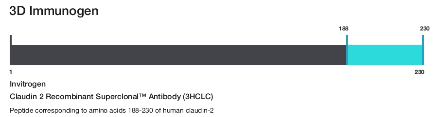 Claudin 2 Recombinant Superclonal&trade; Antibody (3HCLC)