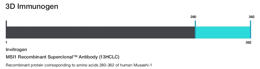MSI1 Recombinant Superclonal&trade; Antibody (13HCLC)