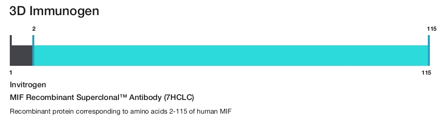MIF Recombinant Superclonal&trade; Antibody (7HCLC)