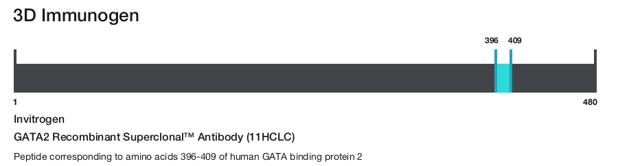 GATA2 Recombinant Superclonal&trade; Antibody (11HCLC)
