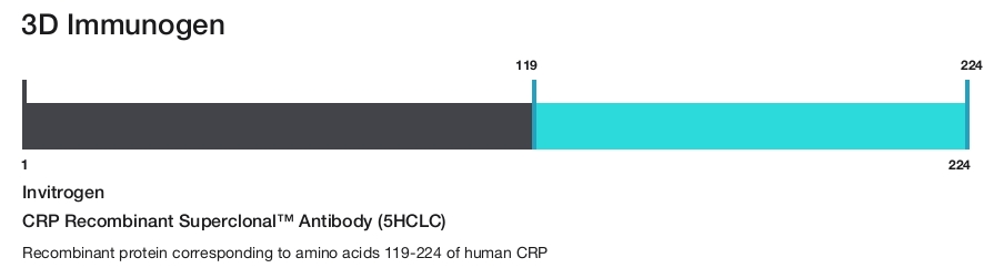 CRP Recombinant Superclonal&trade; Antibody (5HCLC)