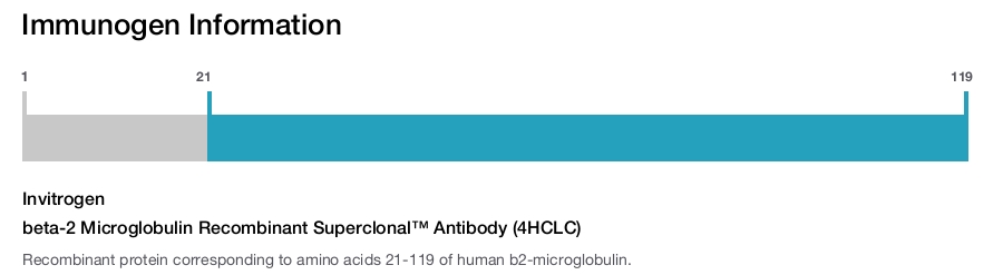 beta-2 Microglobulin Recombinant Superclonal&trade; Antibody (4HCLC)