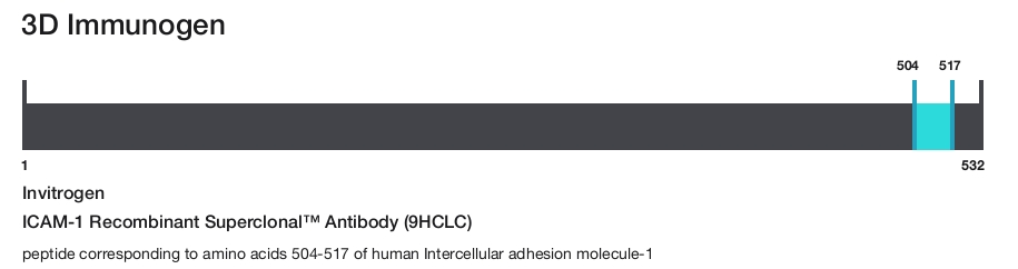 ICAM-1 Recombinant Superclonal&trade; Antibody (9HCLC)