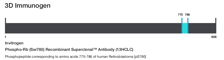 Phospho-Rb (Ser780) Recombinant Superclonal&trade; Antibody (13HCLC)