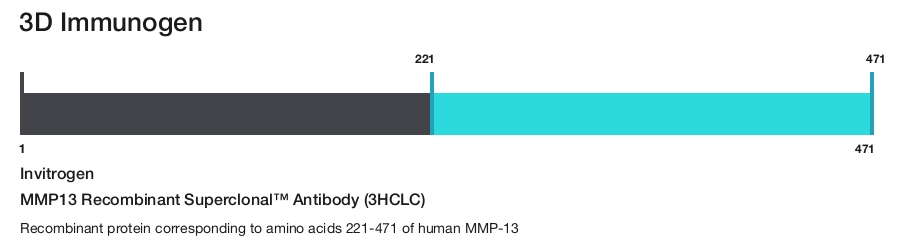 MMP13 Recombinant Superclonal&trade; Antibody (3HCLC)