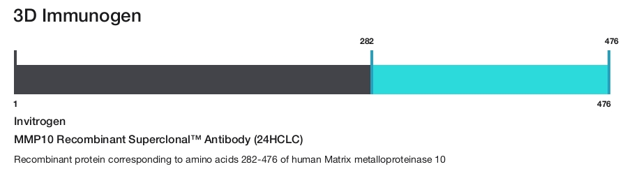MMP10 Recombinant Superclonal&trade; Antibody (24HCLC)
