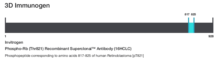Phospho-Rb (Thr821) Recombinant Superclonal&trade; Antibody (16HCLC)