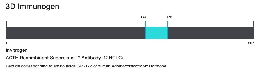 ACTH Recombinant Superclonal&trade; Antibody (12HCLC)