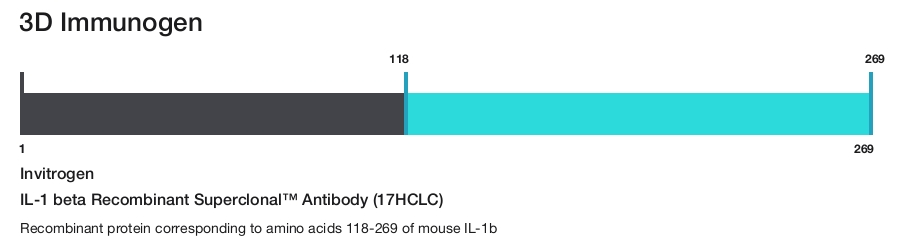 IL-1 beta Recombinant Superclonal&trade; Antibody (17HCLC)