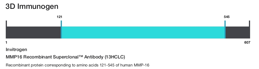 MMP16 Recombinant Superclonal&trade; Antibody (13HCLC)