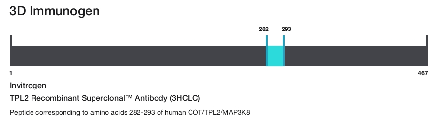 TPL2 Recombinant Superclonal&trade; Antibody (3HCLC)
